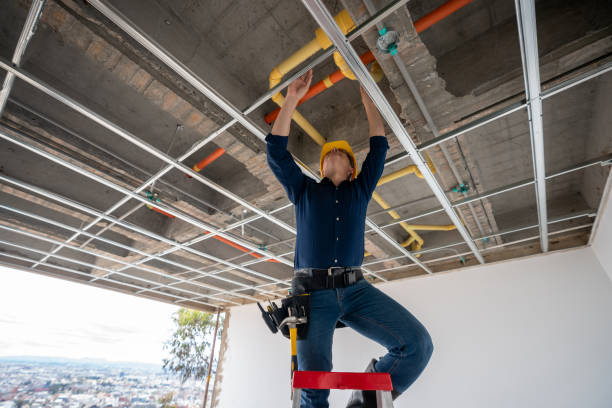 Best Commercial Plumbing Services  in Detroit, MI