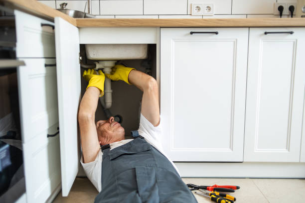 Best Sprinkler Systems  in Detroit, MI