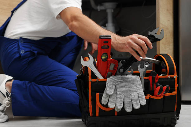 Best Plumbing Inspection Services  in Detroit, MI